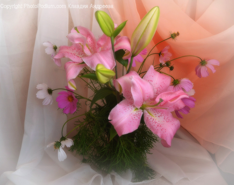 Art, Blossom, Flora, Flower, Flower Arrangement