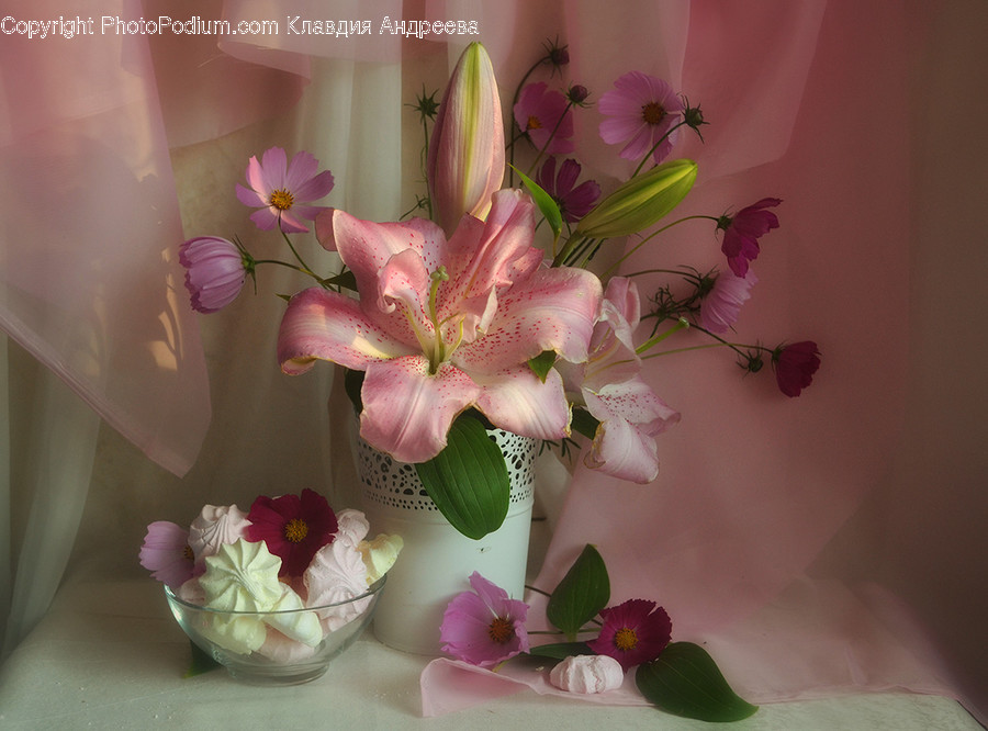 Flora, Jar, Plant, Potted Plant, Pottery