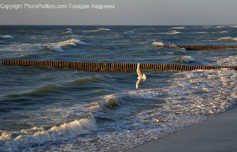 Nature, Ocean, Outdoors, Sea, Sea Waves