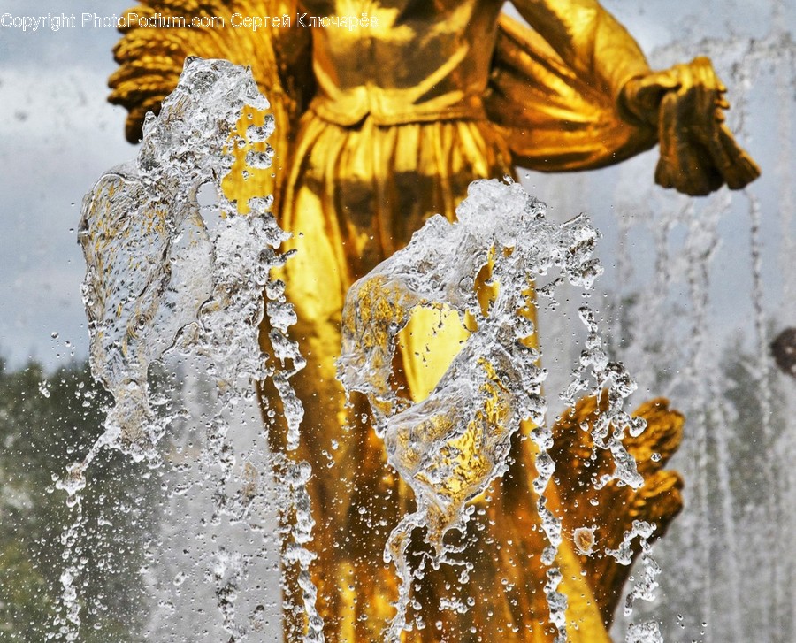 Fountain, Water, Rock, Flora, Plant