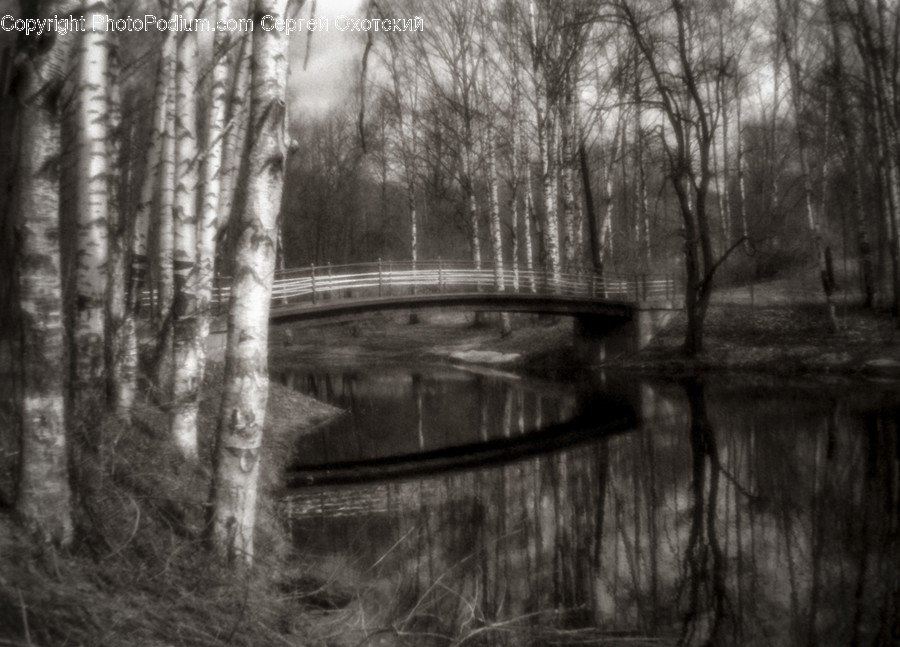 Canal, Outdoors, Water, Flora, Forest