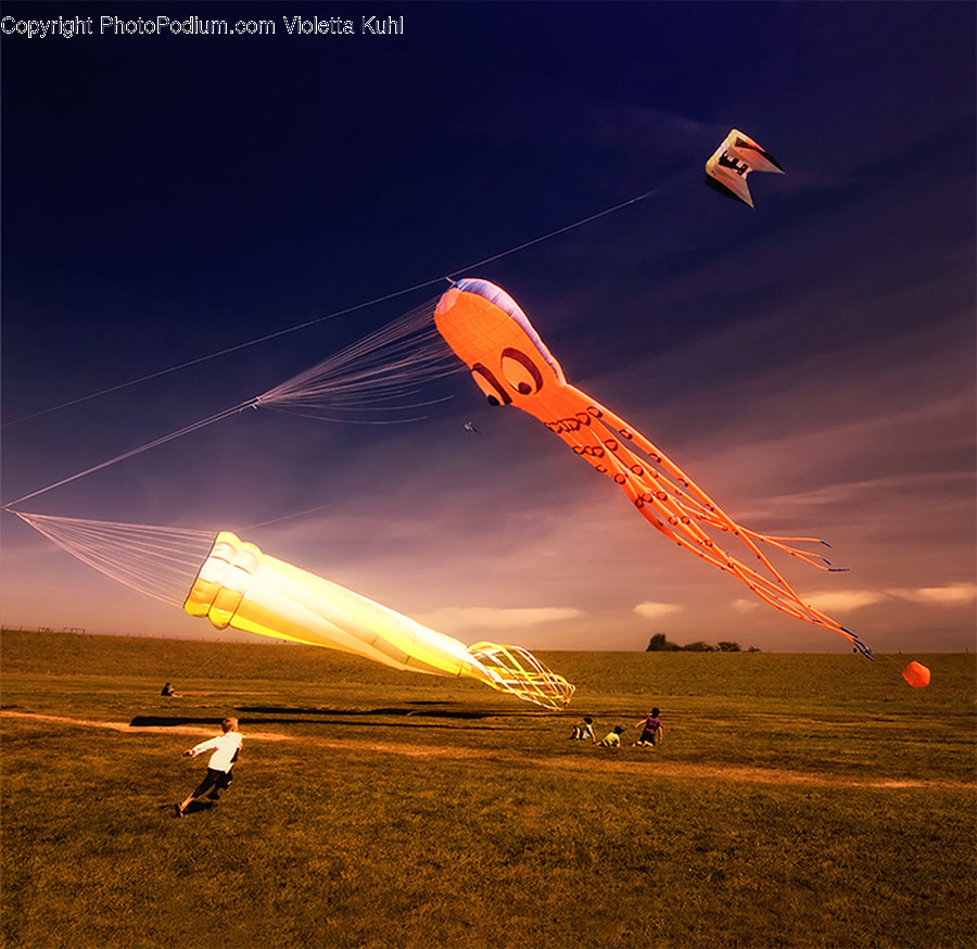 Adventure, Gliding, Leisure Activities, Aircraft, Airplane