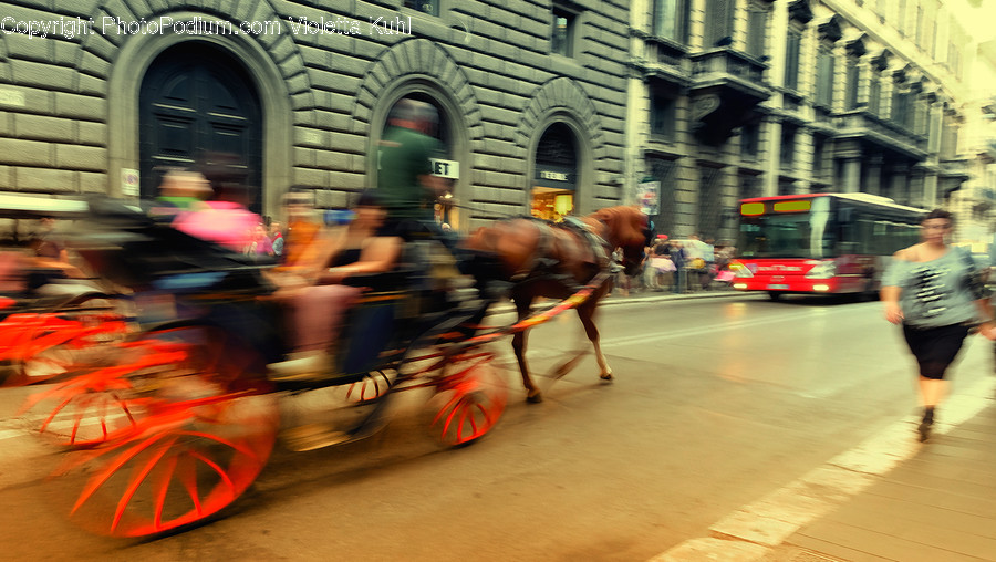 Human, People, Person, Bus, Transportation