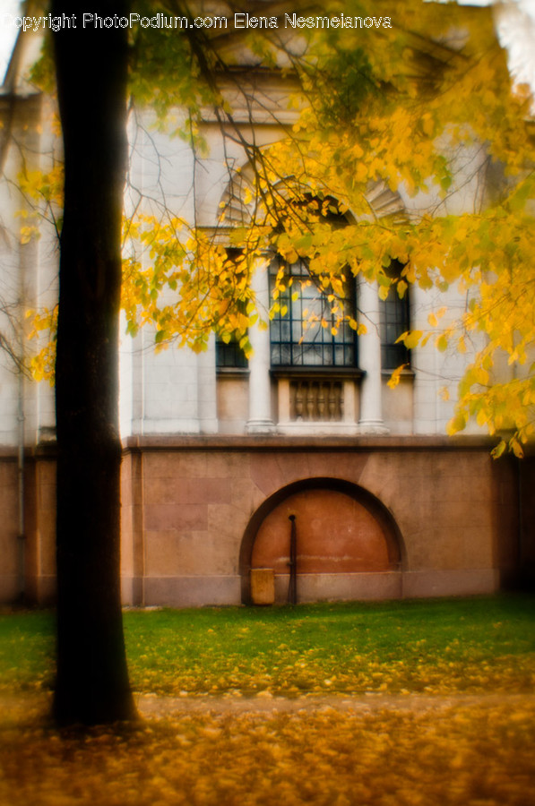 Arch, Arched, Architecture, Building, Sunlight