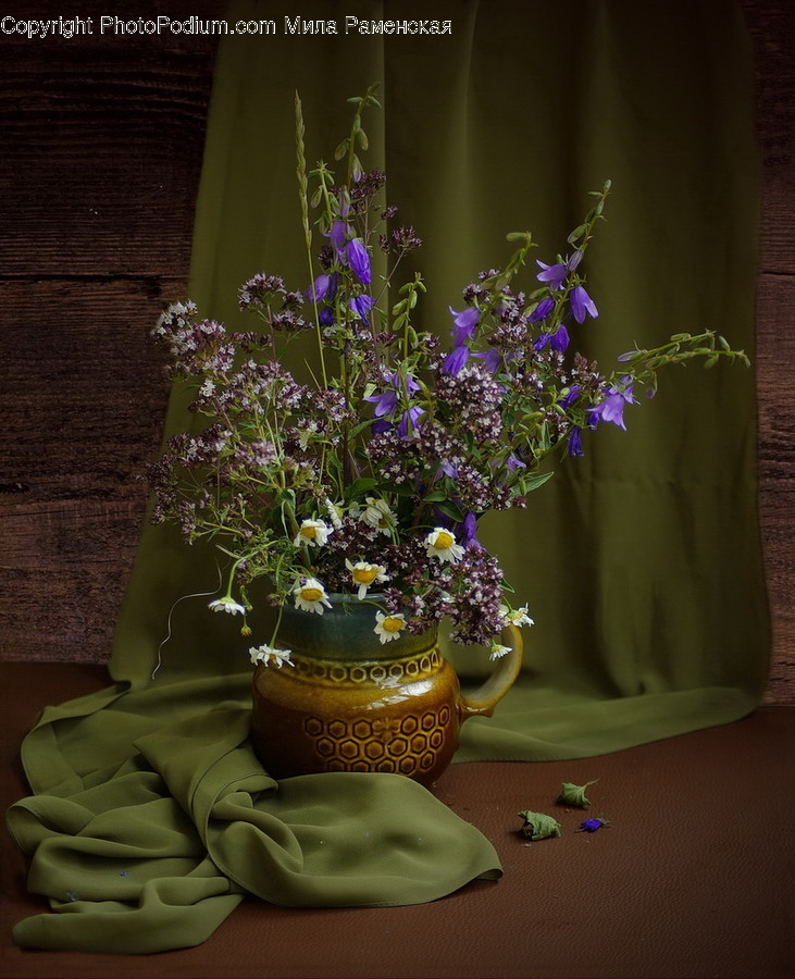 Pot, Flora, Jar, Plant, Potted Plant
