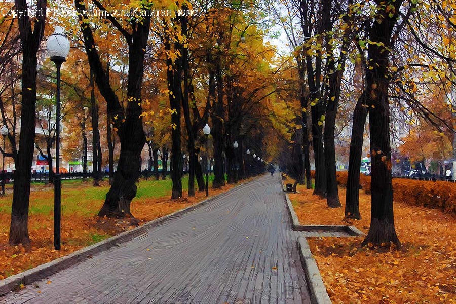 Path, Pavement, Sidewalk, Walkway, Flora
