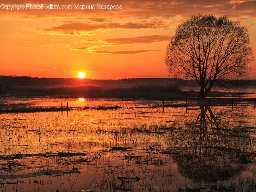 Dawn, Dusk, Nature, Outdoors, Red Sky
