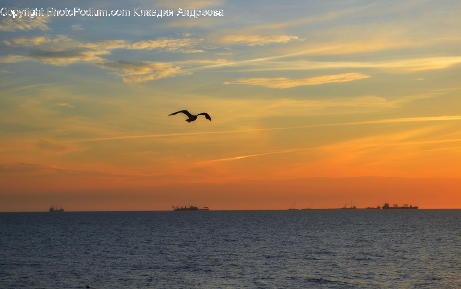 Nature, Ocean, Outdoors, Sea, Water
