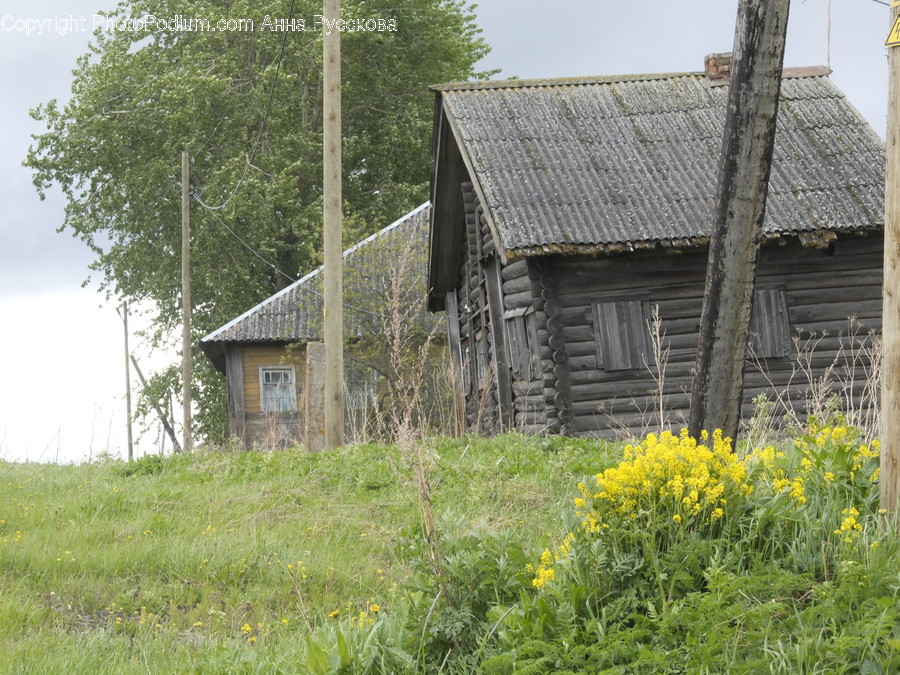 Building, Cottage, House, Housing, Countryside
