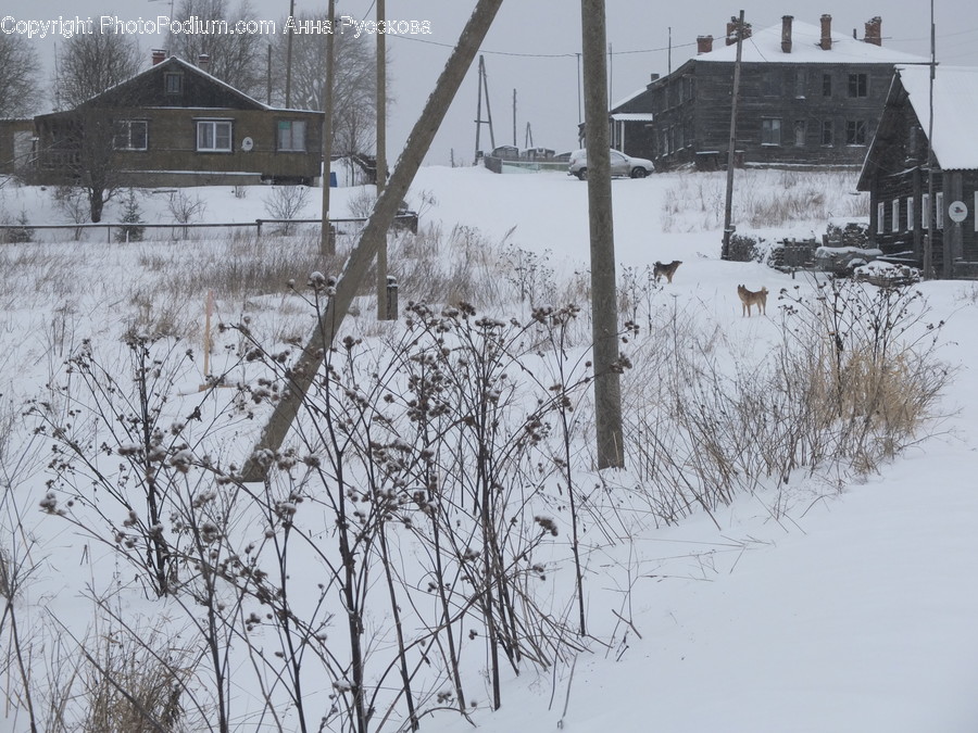 Outdoors, Snow, Building, Countryside, Hut