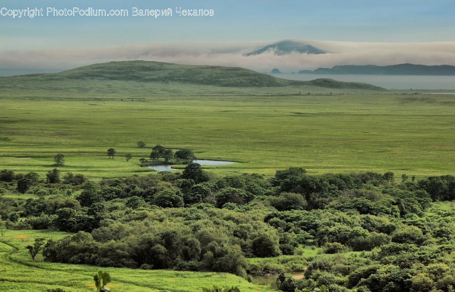 Field, Grassland, Outdoors, Countryside, Farm