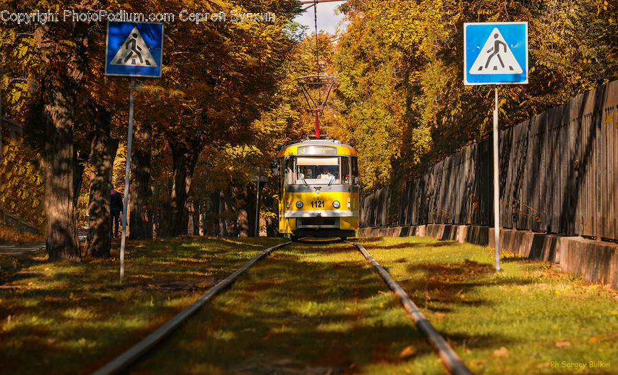 Cable Car, Streetcar, Tram, Transportation, Trolley