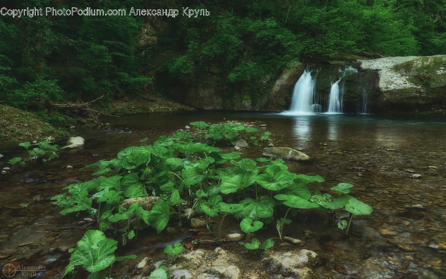 Outdoors, River, Water, Waterfall, Flora