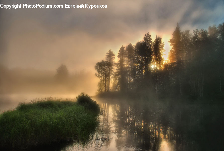 Dawn, Dusk, Sky, Sunrise, Sunset, Fog, Dirt Road
