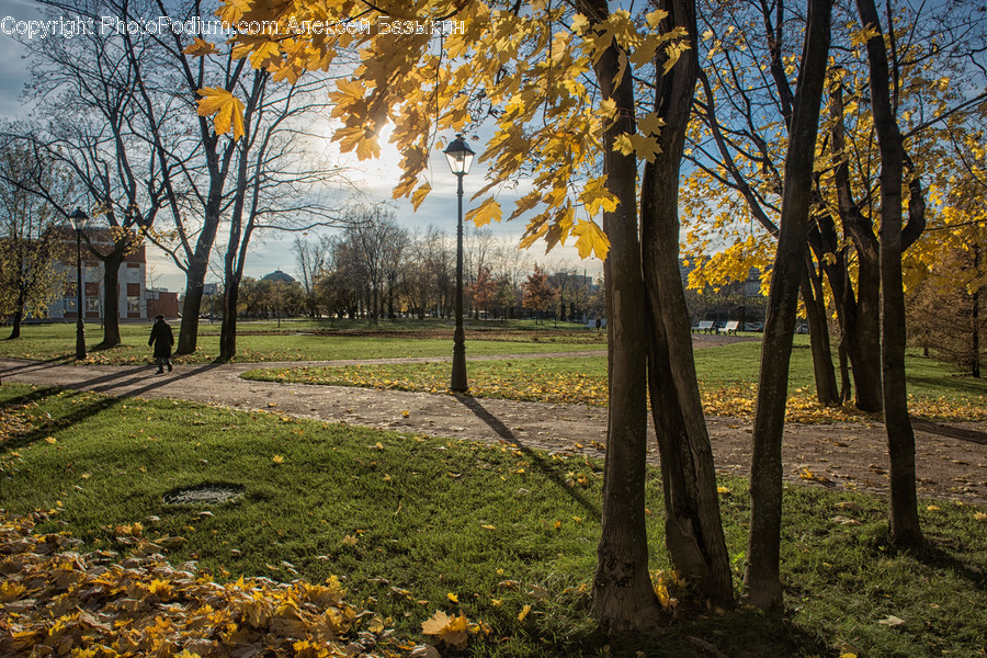 Park, Field, Grassland, Mound, Outdoors