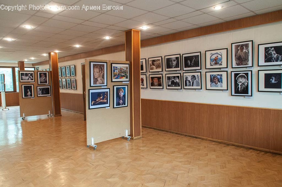 Art, Art Gallery, Flooring, Floor