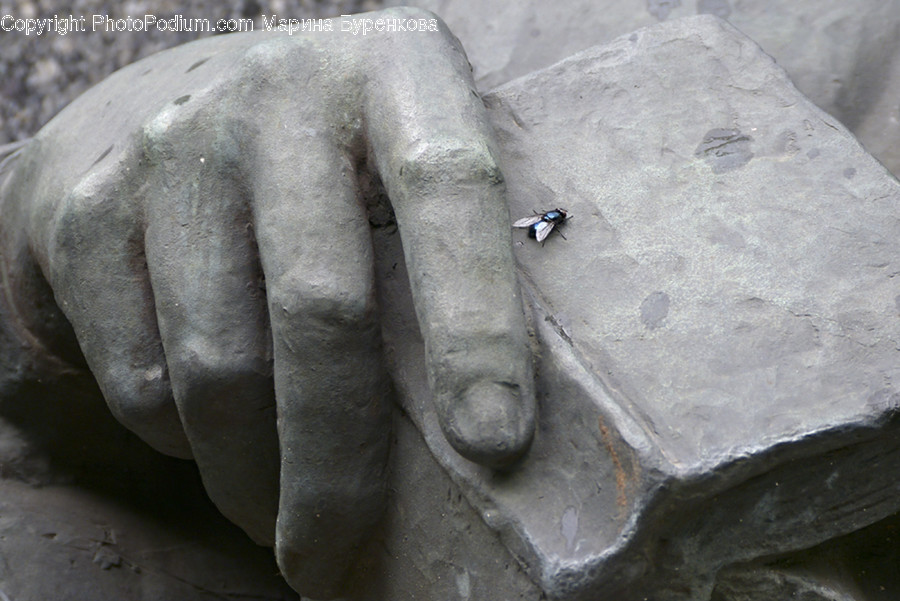 Art, Gargoyle, Ornament, Sculpture, Statue