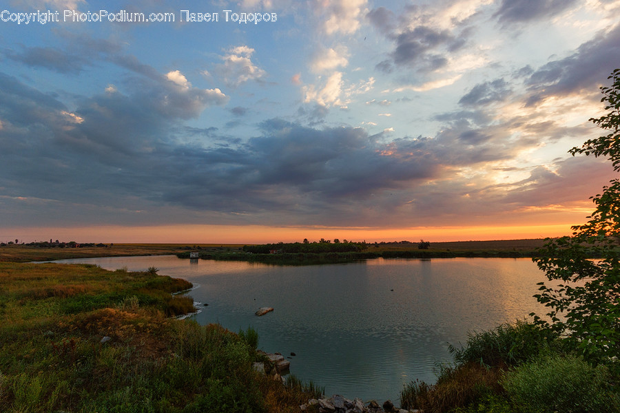 Land, Marsh, Outdoors, Swamp, Water