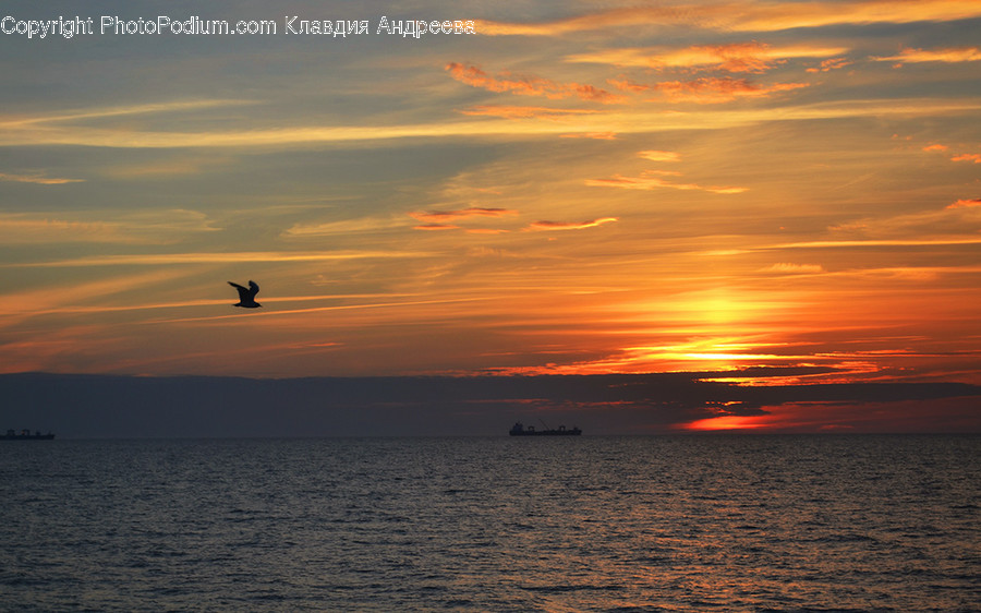 Dawn, Dusk, Nature, Outdoors, Red Sky