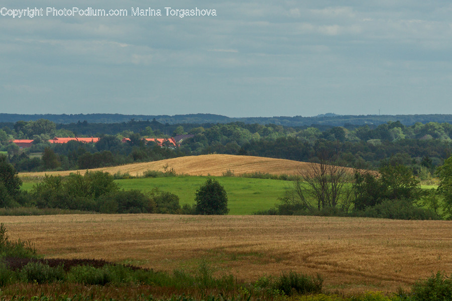 Field, Grassland, Outdoors, Countryside, Hill