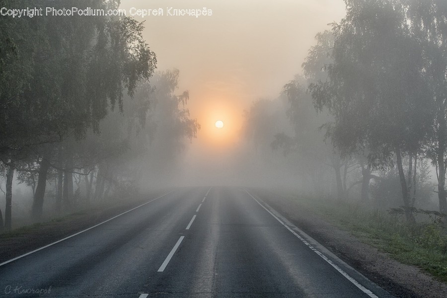 Road, Fog, Nature, Weather, Freeway