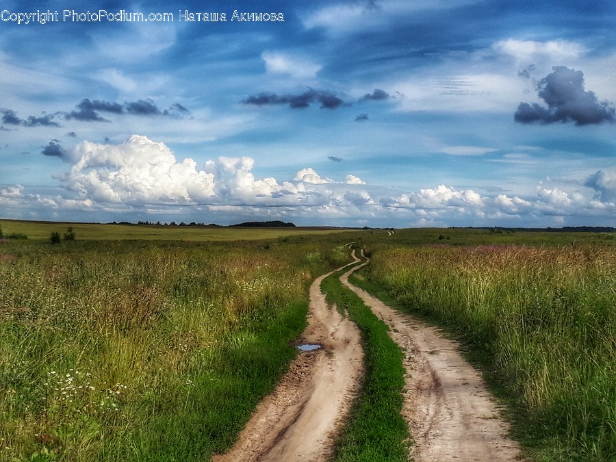 Dirt Road, Gravel, Road, Flora, Grass