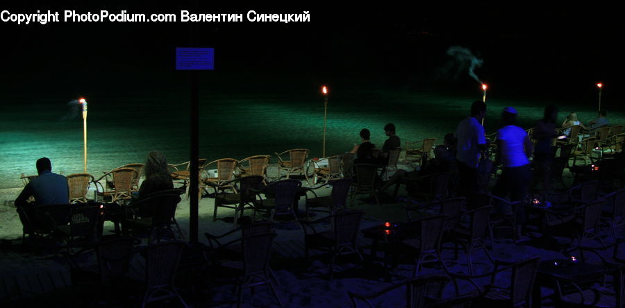 People, Person, Human, Chair, Furniture, Plant, Potted Plant