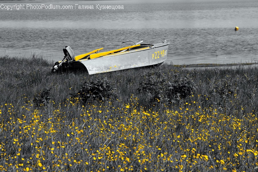 Boat, Dinghy, Transportation, Vessel, Watercraft