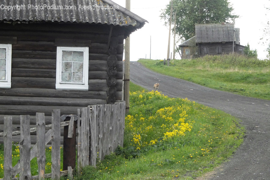 Window, Building, Cottage, House, Housing