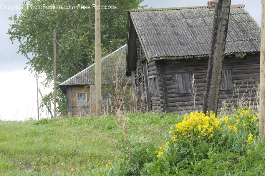 Building, Cottage, House, Housing, Cabin
