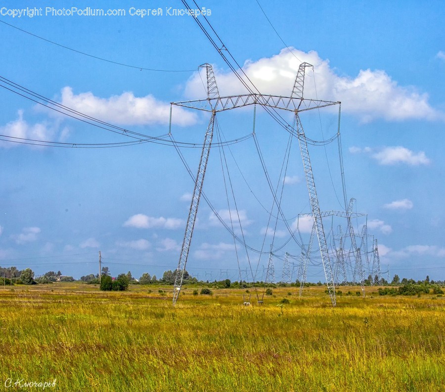 Cable, Connector, Electrical Device, Power Lines, Field