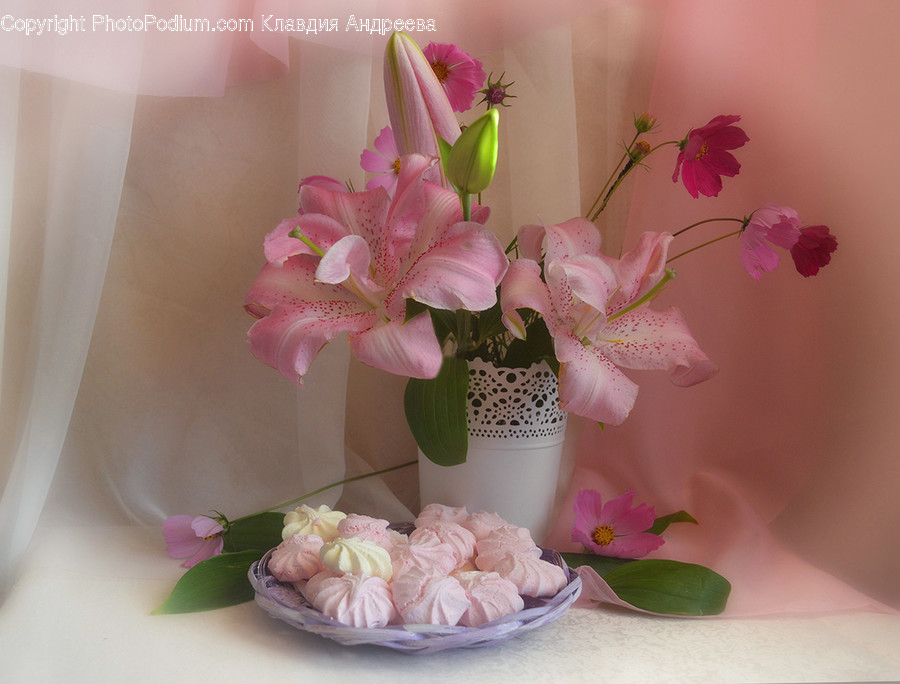 Flora, Jar, Plant, Potted Plant, Pottery
