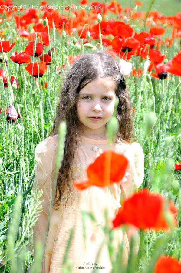 Human, People, Person, Blossom, Flora