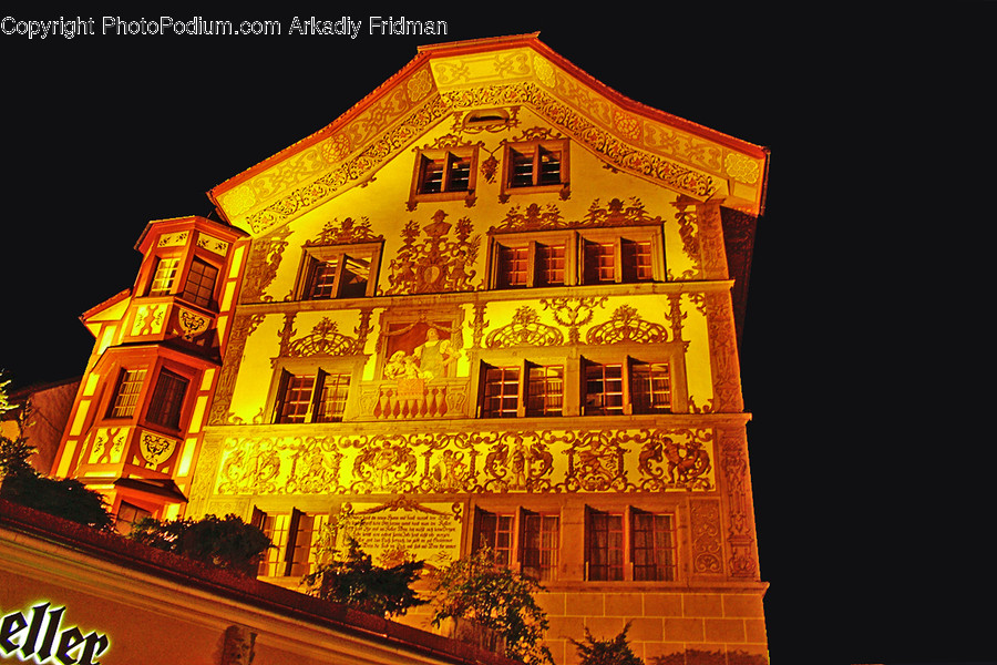 Flora, Ivy, Plant, Building, Architecture