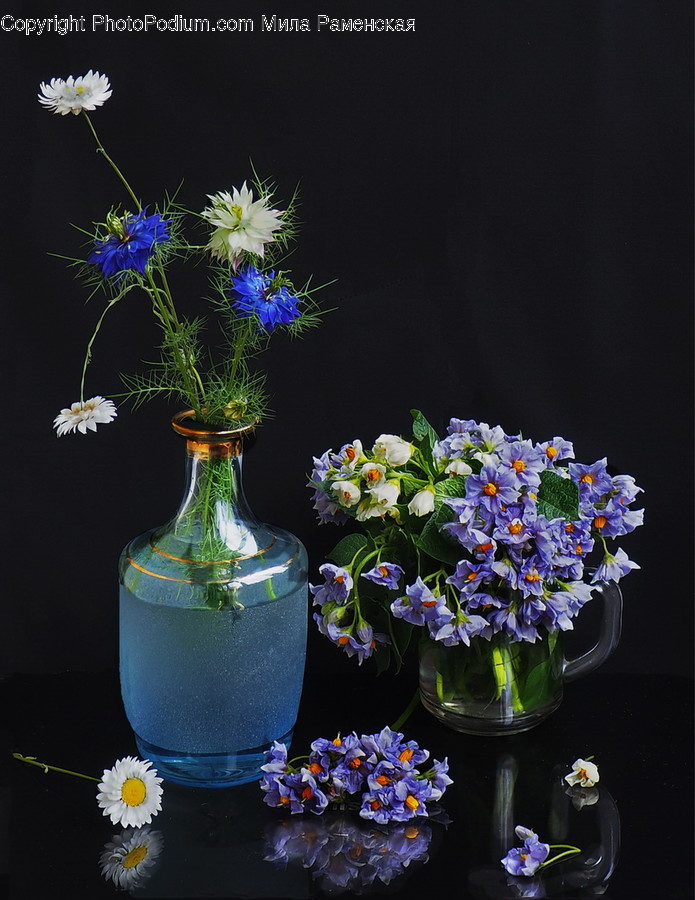 Flora, Jar, Plant, Potted Plant, Pottery