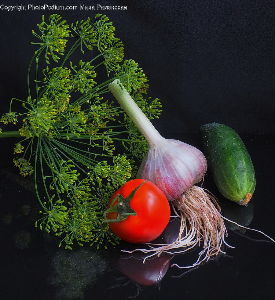Dill, Flora, Food, Plant, Seasoning