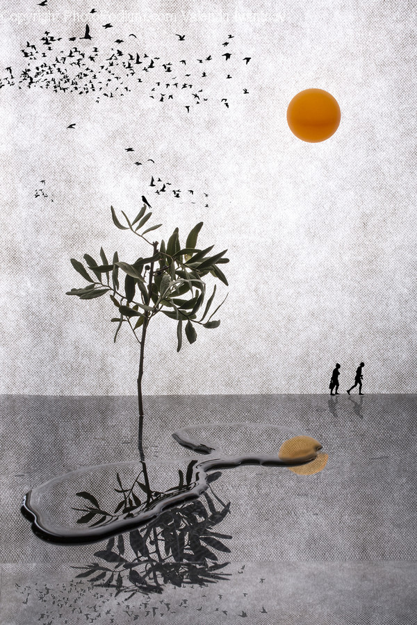 Flora, Plant, Outdoors, Sand, Soil