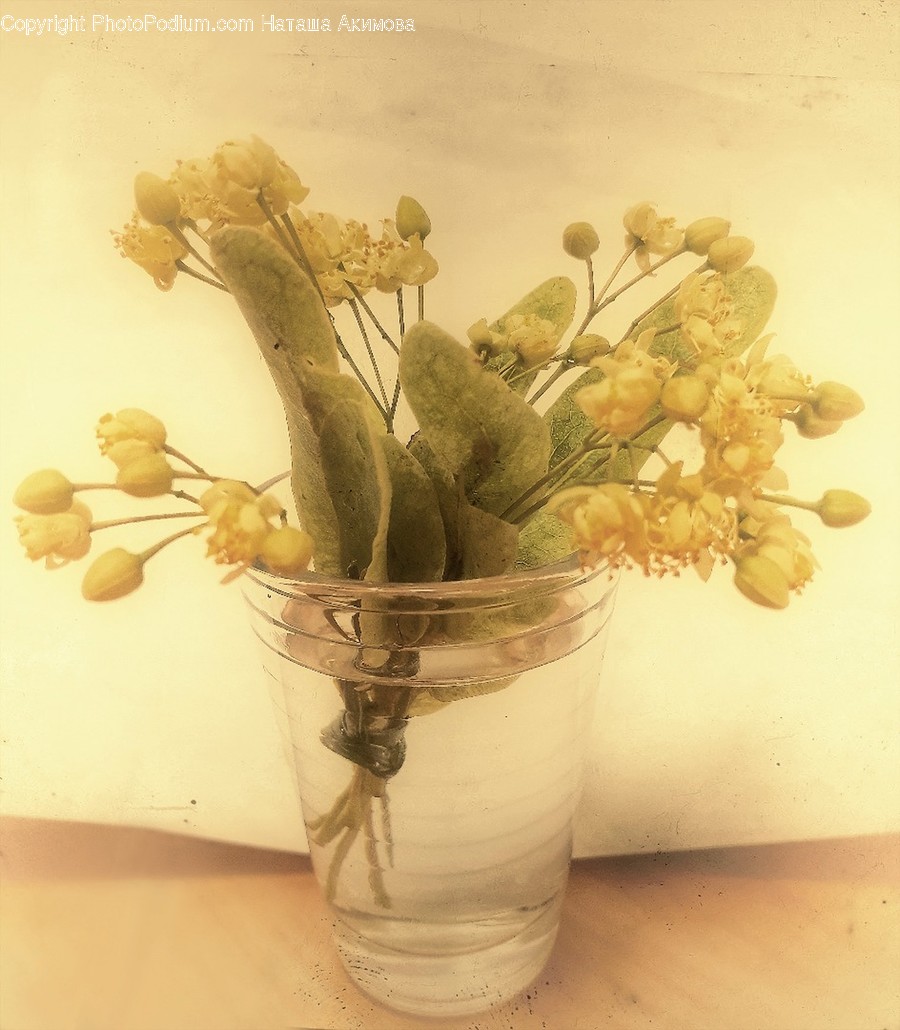 Art, Blossom, Flora, Flower, Flower Arrangement