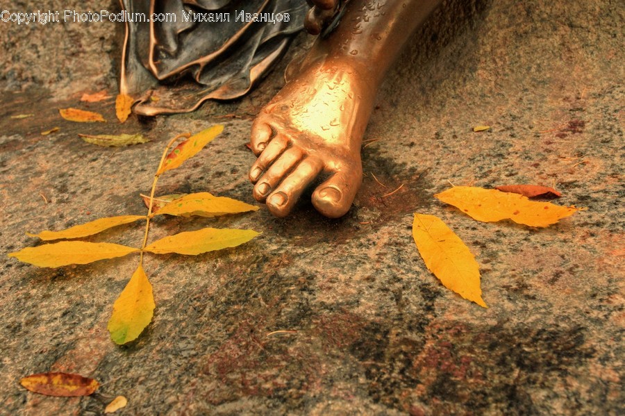 Ground, Soil, Asphalt, Tarmac, Outdoors