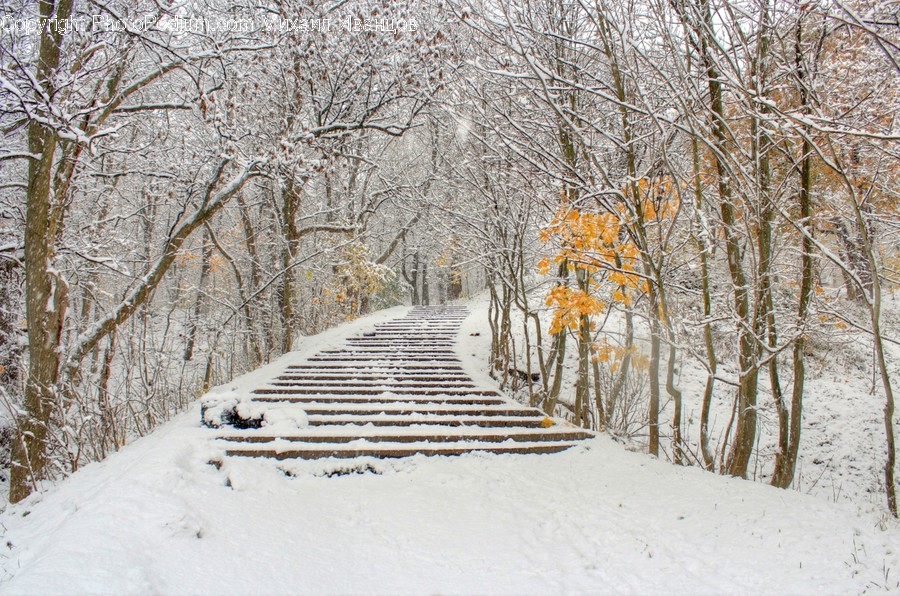 Outdoors, Snow, Dirt Road, Gravel, Road
