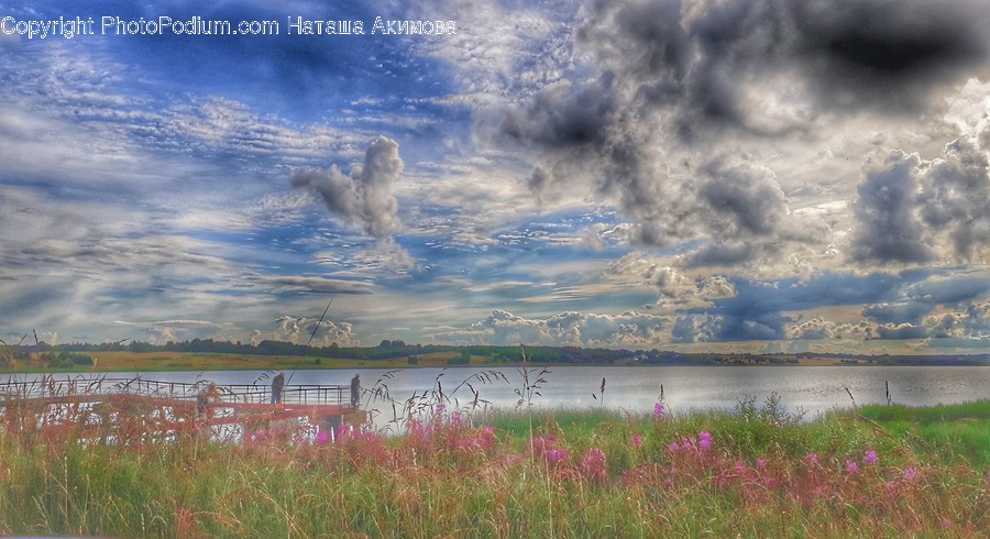 Cloud, Cumulus, Nature, Outdoors, Sky
