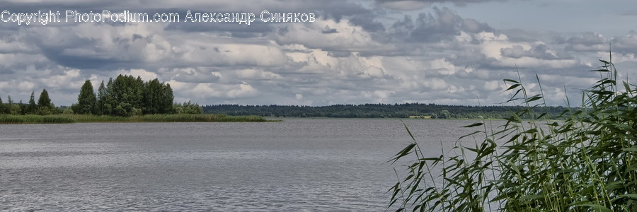 Cloud, Cumulus, Nature, Outdoors, Sky