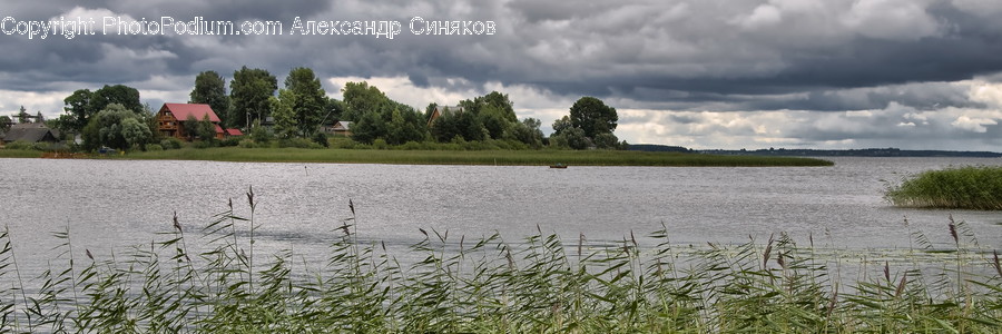 Cloud, Cumulus, Nature, Outdoors, Sky