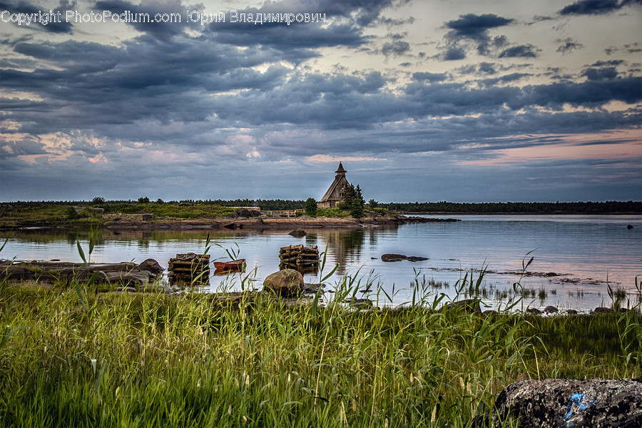 Land, Marsh, Outdoors, Swamp, Water