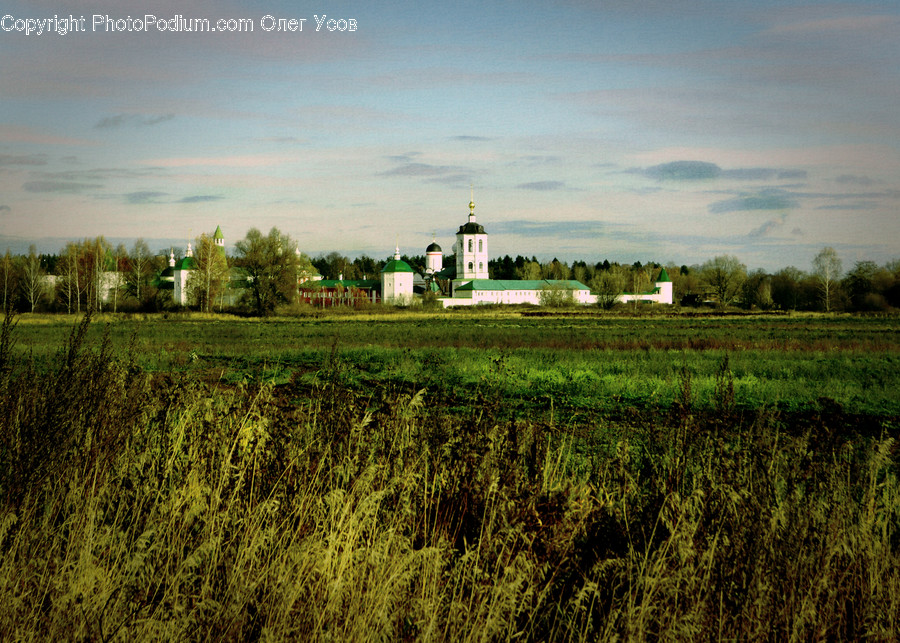 Countryside, Field, Grassland, Nature, Outdoors