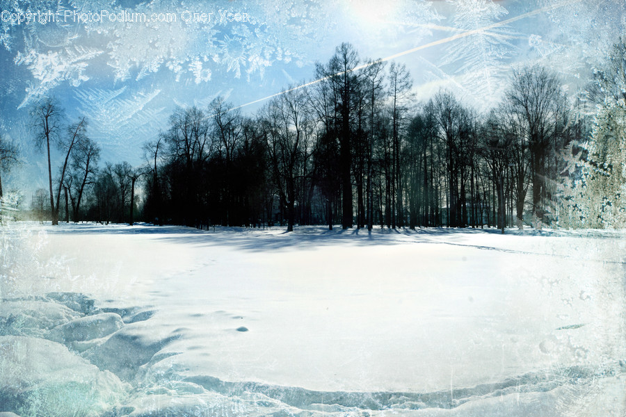 Landscape, Nature, Outdoors, Scenery, Flora