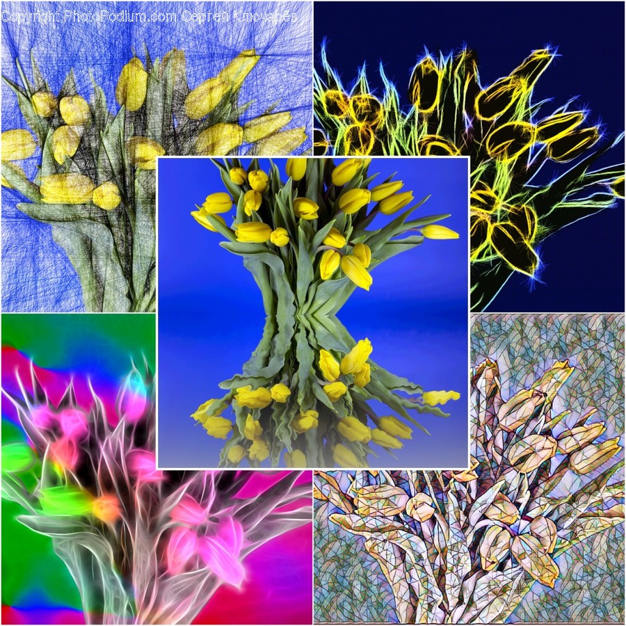 Collage, Poster, Art, Blossom, Crocus