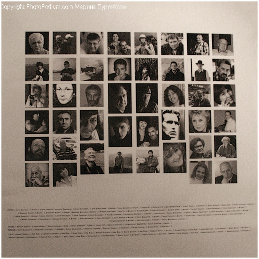 Collage, Poster, Brochure, Flyer, Paper