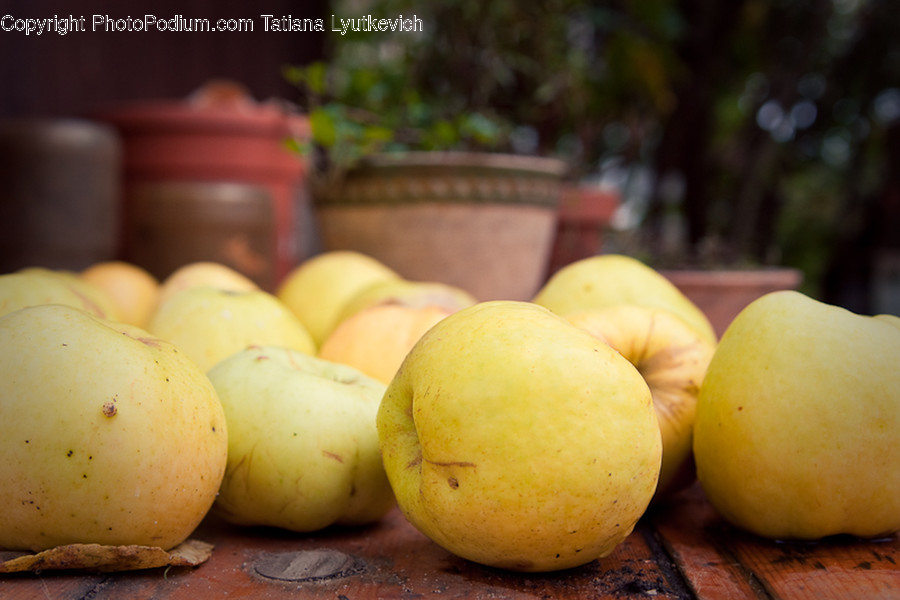 Citrus Fruit, Flora, Food, Fruit, Grapefruit
