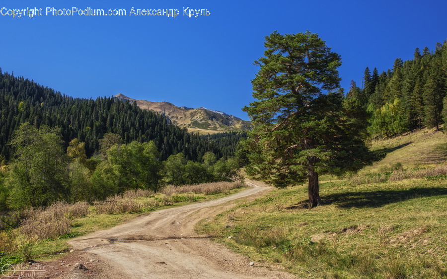 Dirt Road, Gravel, Road, Outdoors, Wilderness